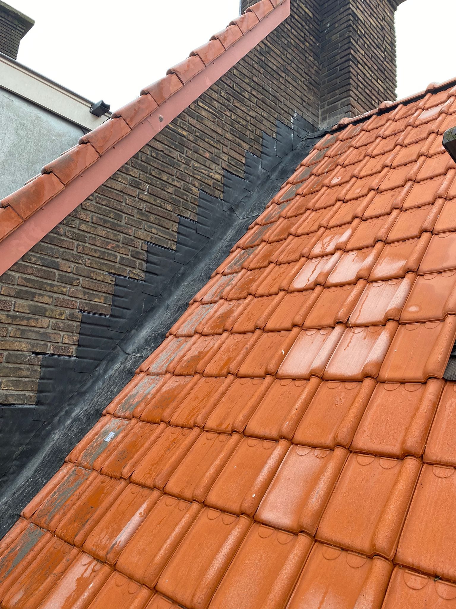 WhatsApp Image 2023-11-07 at 17.52.22 (2)