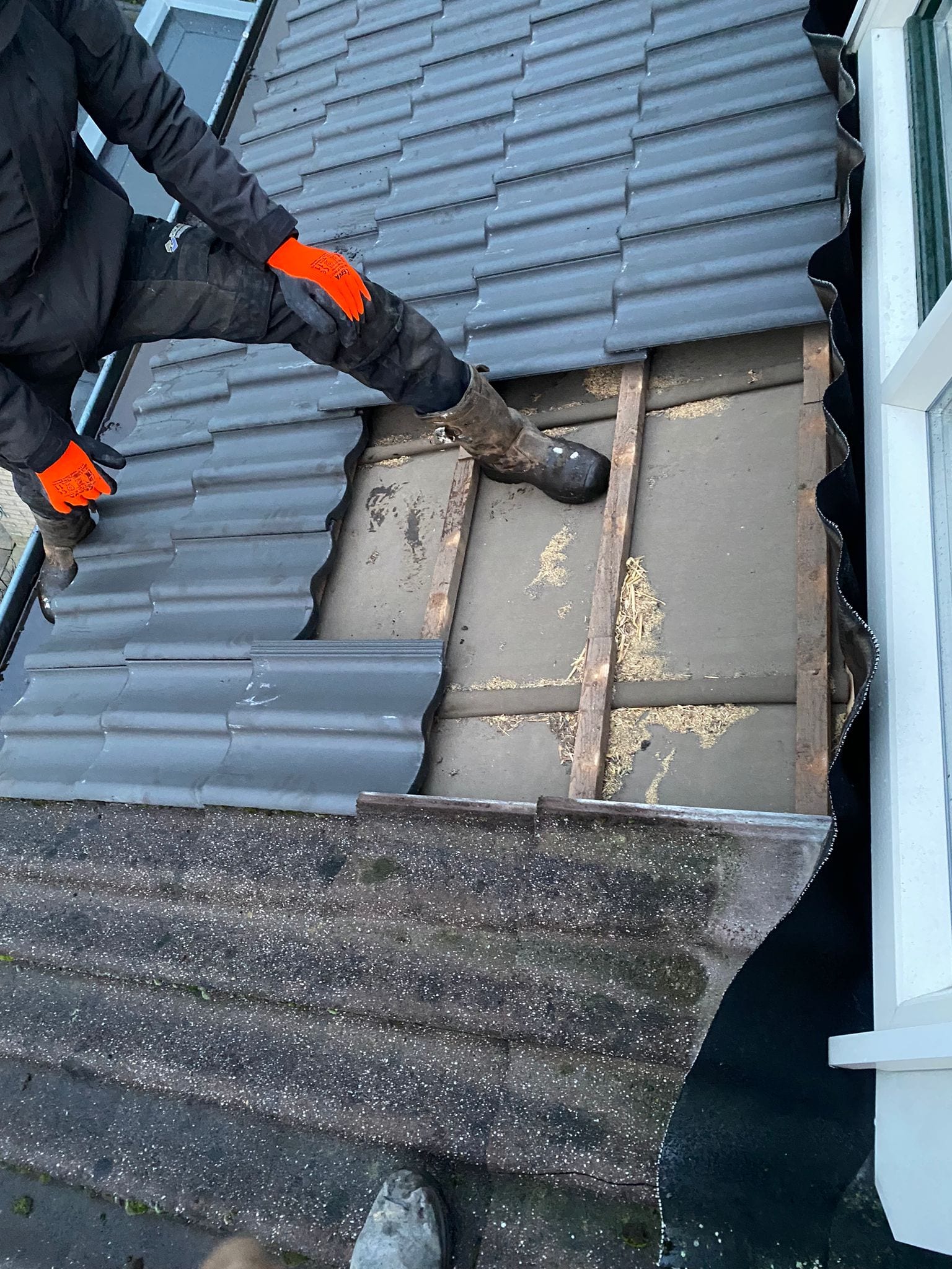 Daklekkage oplossen Dakpannen vervangen