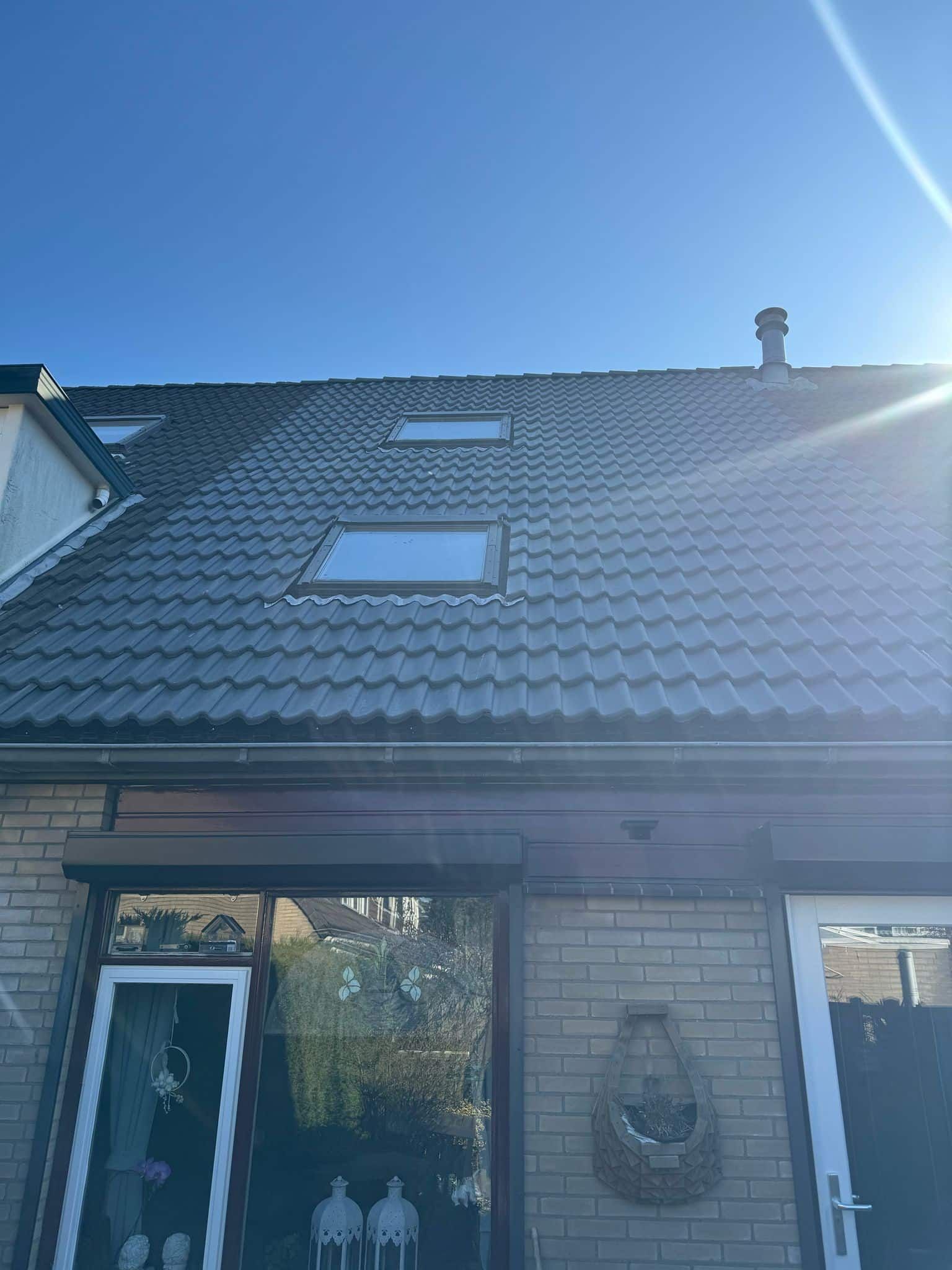 dakdienst nederland project 1