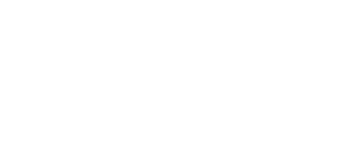 WienerbergerWit