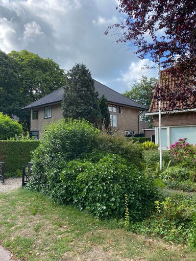 Dakpannen vervangen Dakdienst Nederland 5