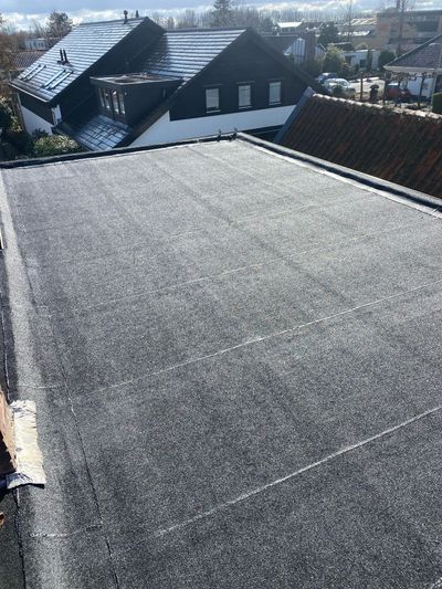 plat dak dakdienst nederland