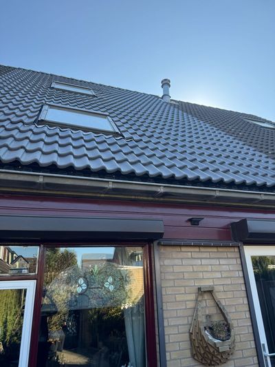 dakdienst nederland project 2