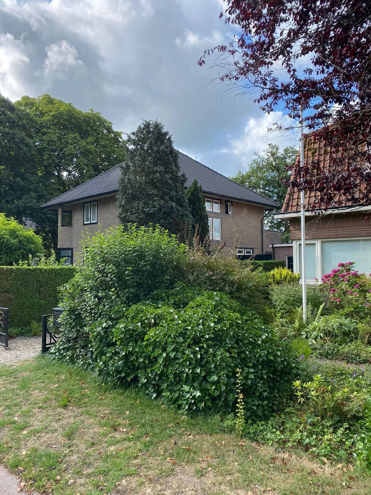 Dakpannen vervangen Dakdienst Nederland 5