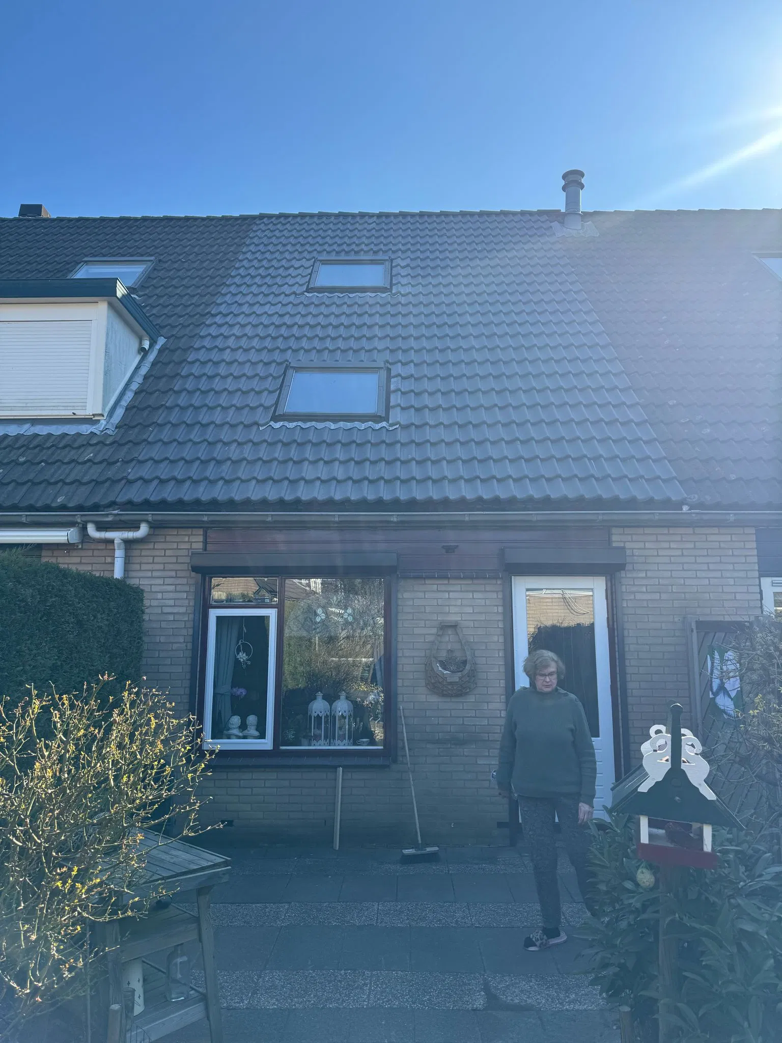 dakdienst nederland project 3