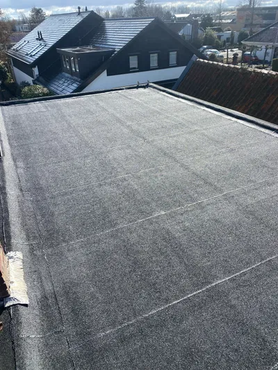 plat dak dakdienst nederland