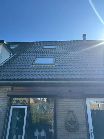 dakdienst nederland project 1